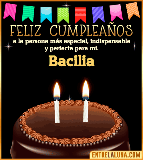 Feliz Cumpleaños a la persona más especial Bacilia