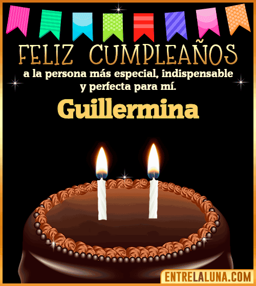 Feliz Cumpleaños a la persona más especial Guillermina