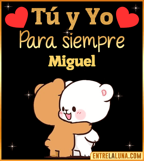 Tú y Yo Amor Miguel