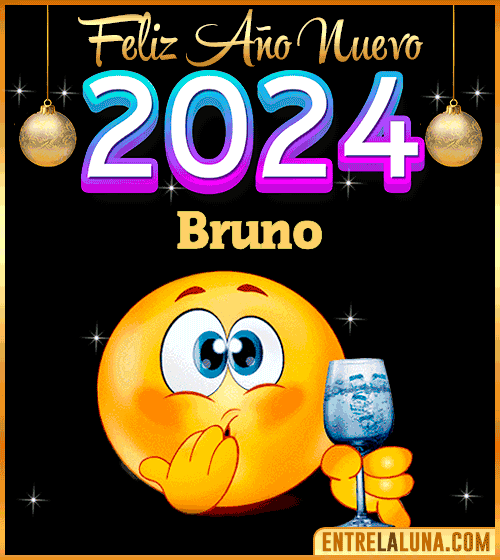 Feliz Año Nuevo 2024 gif Bruno