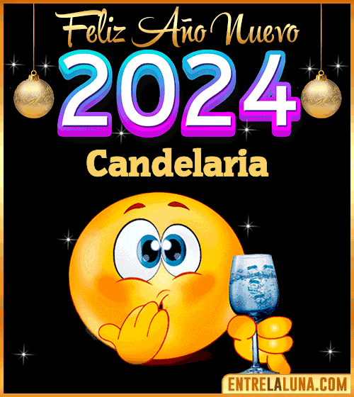 Feliz Año Nuevo 2024 gif Candelaria