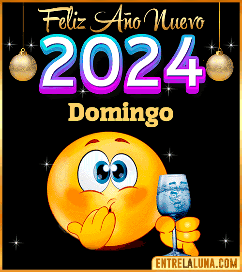 Feliz Año Nuevo 2024 gif Domingo