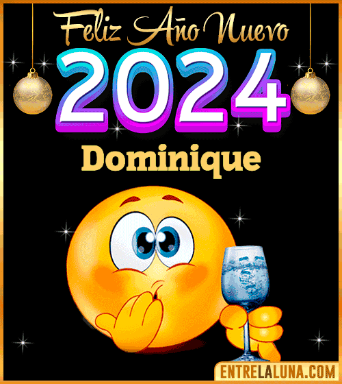 Feliz Año Nuevo 2024 gif Dominique