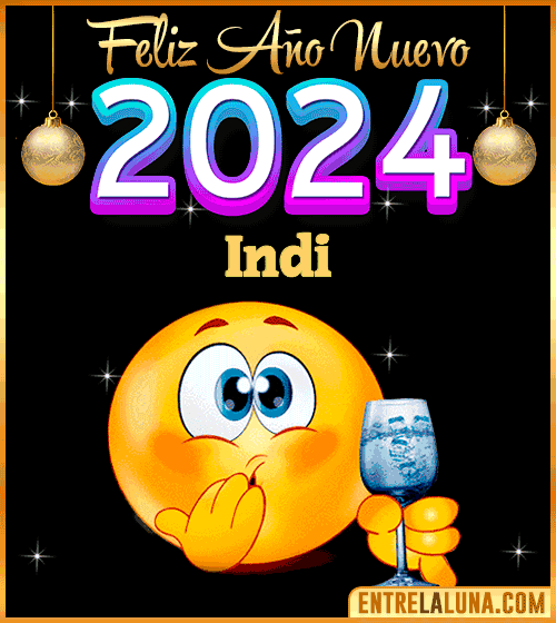 Feliz Año Nuevo 2024 gif Indi