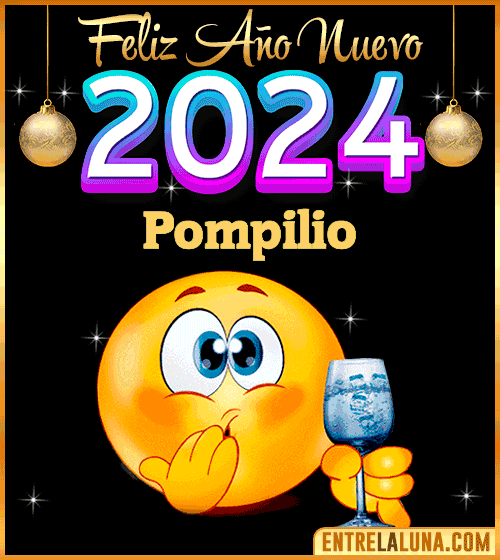 Feliz Año Nuevo 2024 gif Pompilio