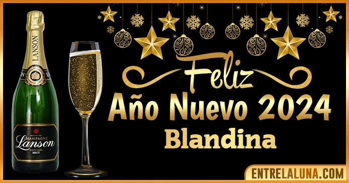 Gif de año nuevo 2024 para Blandina 🥂