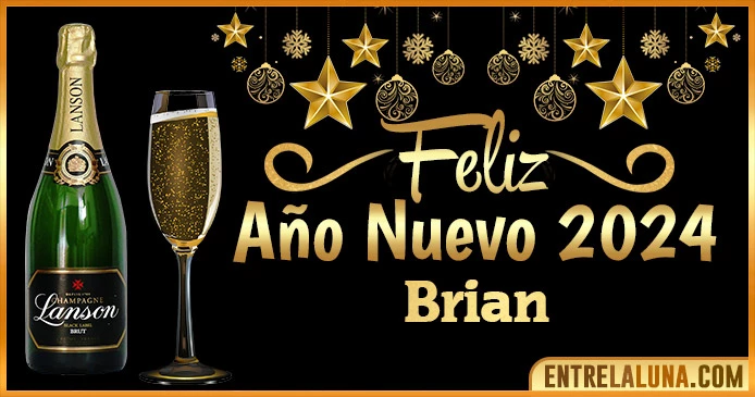 Gif de año nuevo 2024 para Brian 🥂