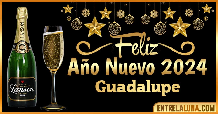 Gif de año nuevo 2024 para Guadalupe 🥂