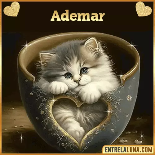 Imagen de tierno gato con nombre Ademar