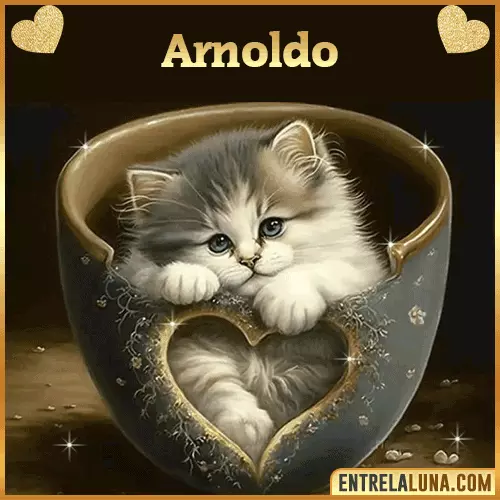Imagen de tierno gato con nombre Arnoldo